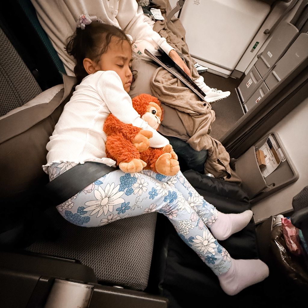 Plane Pal™ Self-Inflating Pillow