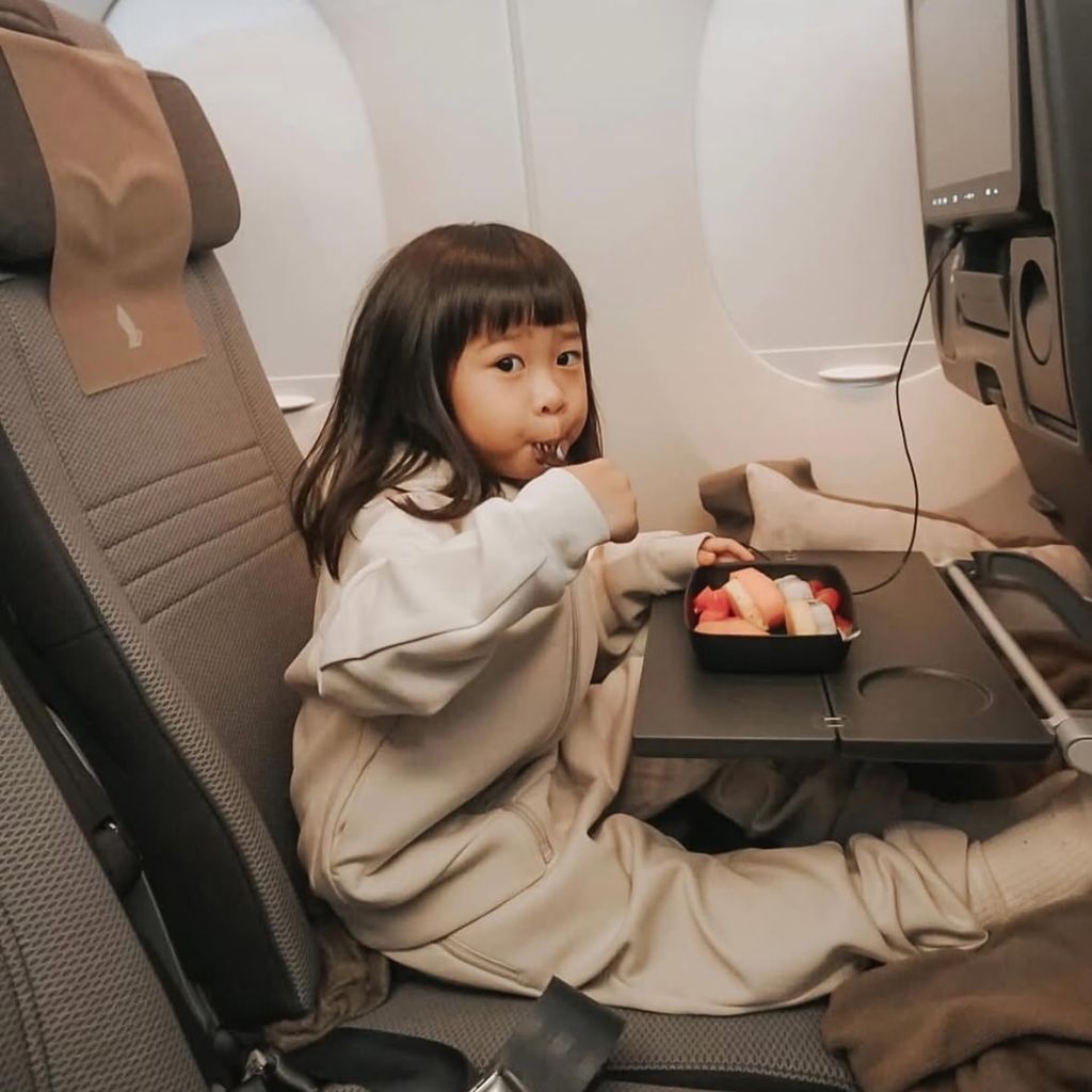 Plane Pal™ Self-Inflating Pillow